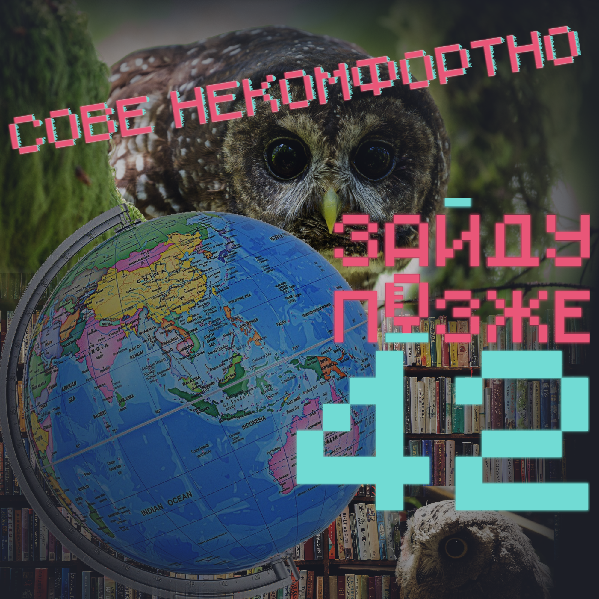 #42: Сове некомфортно